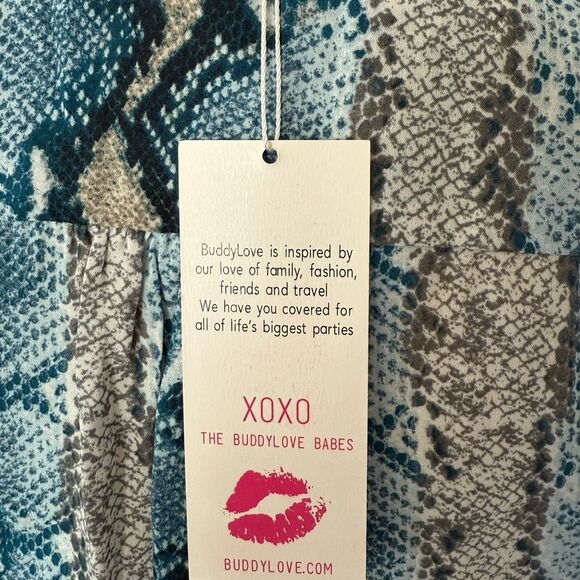 NWT Buddy Love Alba Aquamarine Dress - Picture 5 of 7